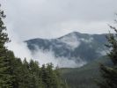 PICTURES/Marymere Falls and Hurricane Ridge Road/t_Mist Rising1.JPG